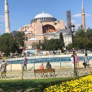 Bachos View Hagia Sophia Istambul